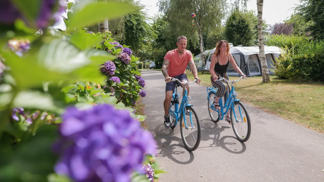 CAMPING MANÉ GUERNEHUÉ