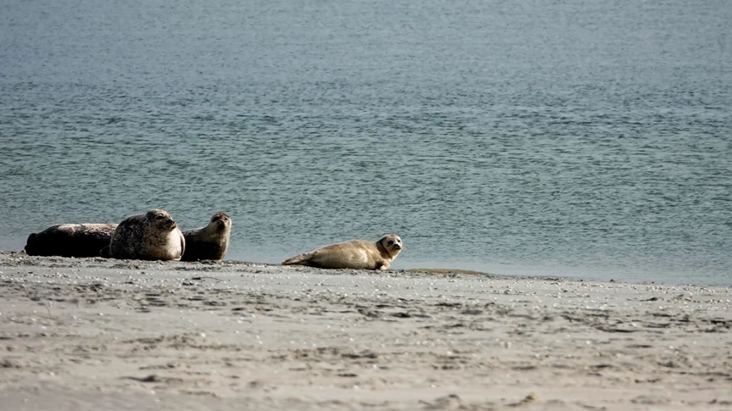 CAMPING LES TROIS SABLIÈRES