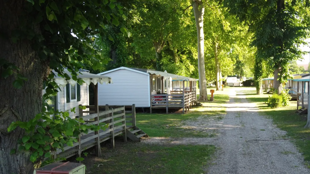 CAMPING DE L'ARQUEBUSE