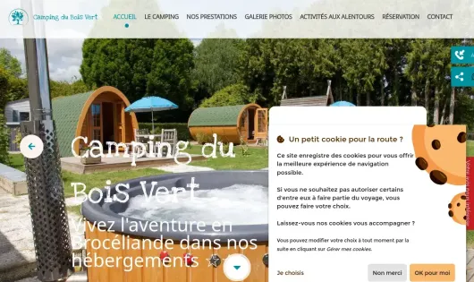 CAMPING DU BOIS VERT