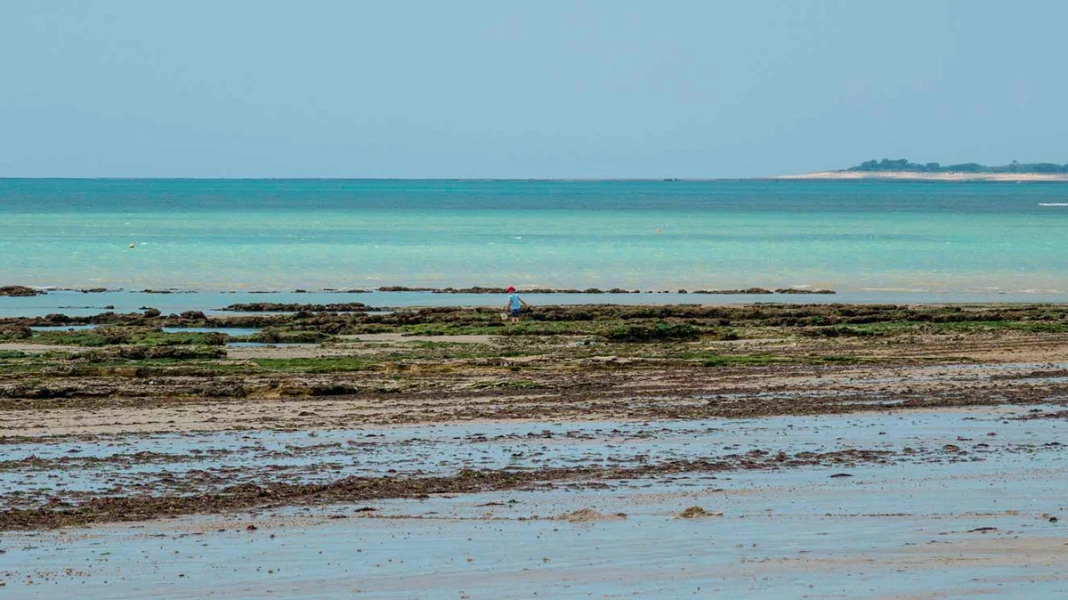 CAMPING LES PÉROUSES DU PHARE