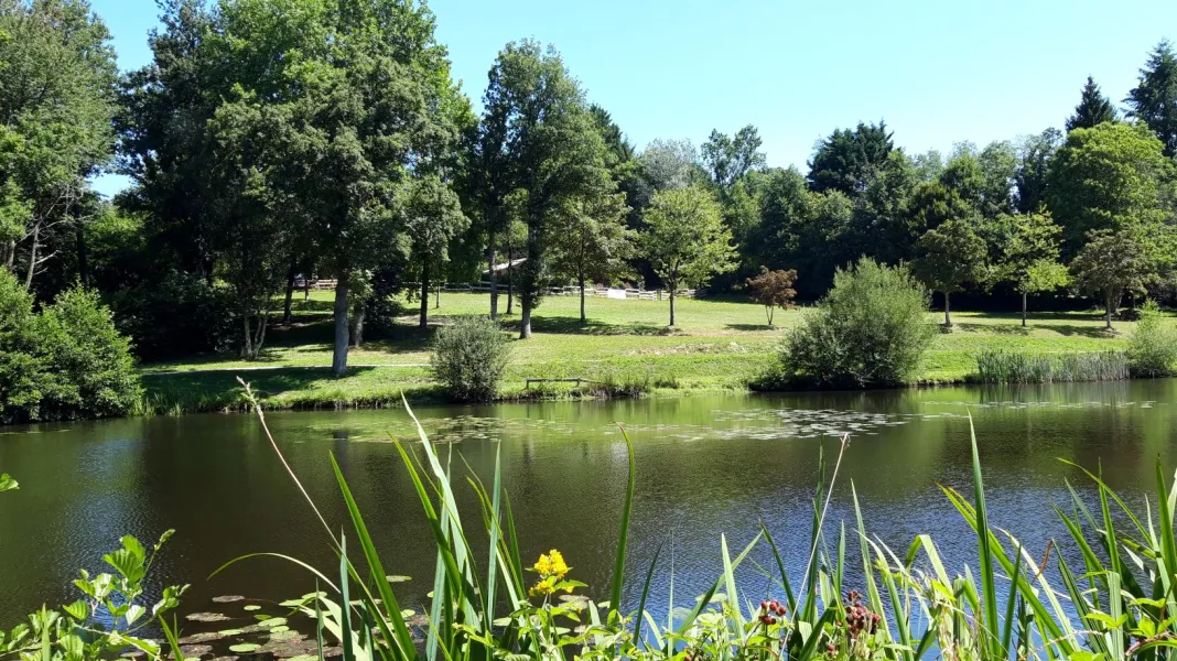 CAMPING LE PETIT BOIS