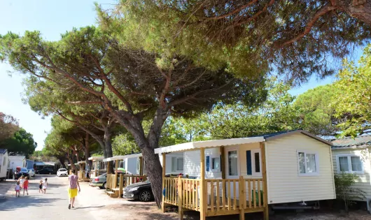 CAMPING LA BERGERIE PLAGE