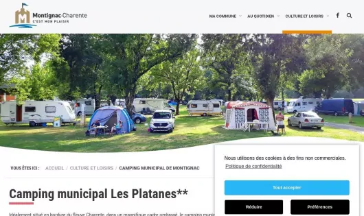 CAMPING MUNICIPAL LES PLATANES