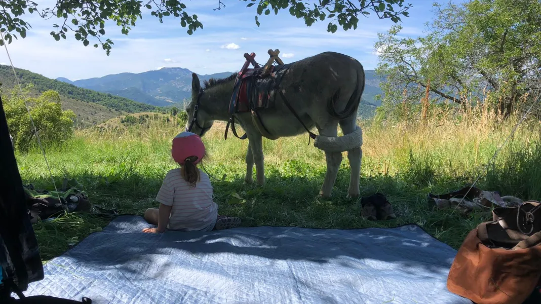 CAMPING À LA FERME DE BAMBOUL'ÂNE